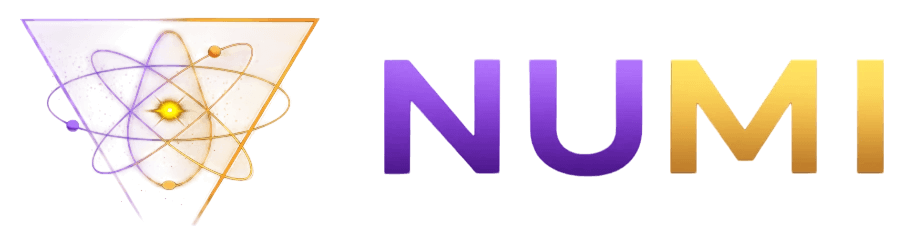 NUMI INTERNATIONAL